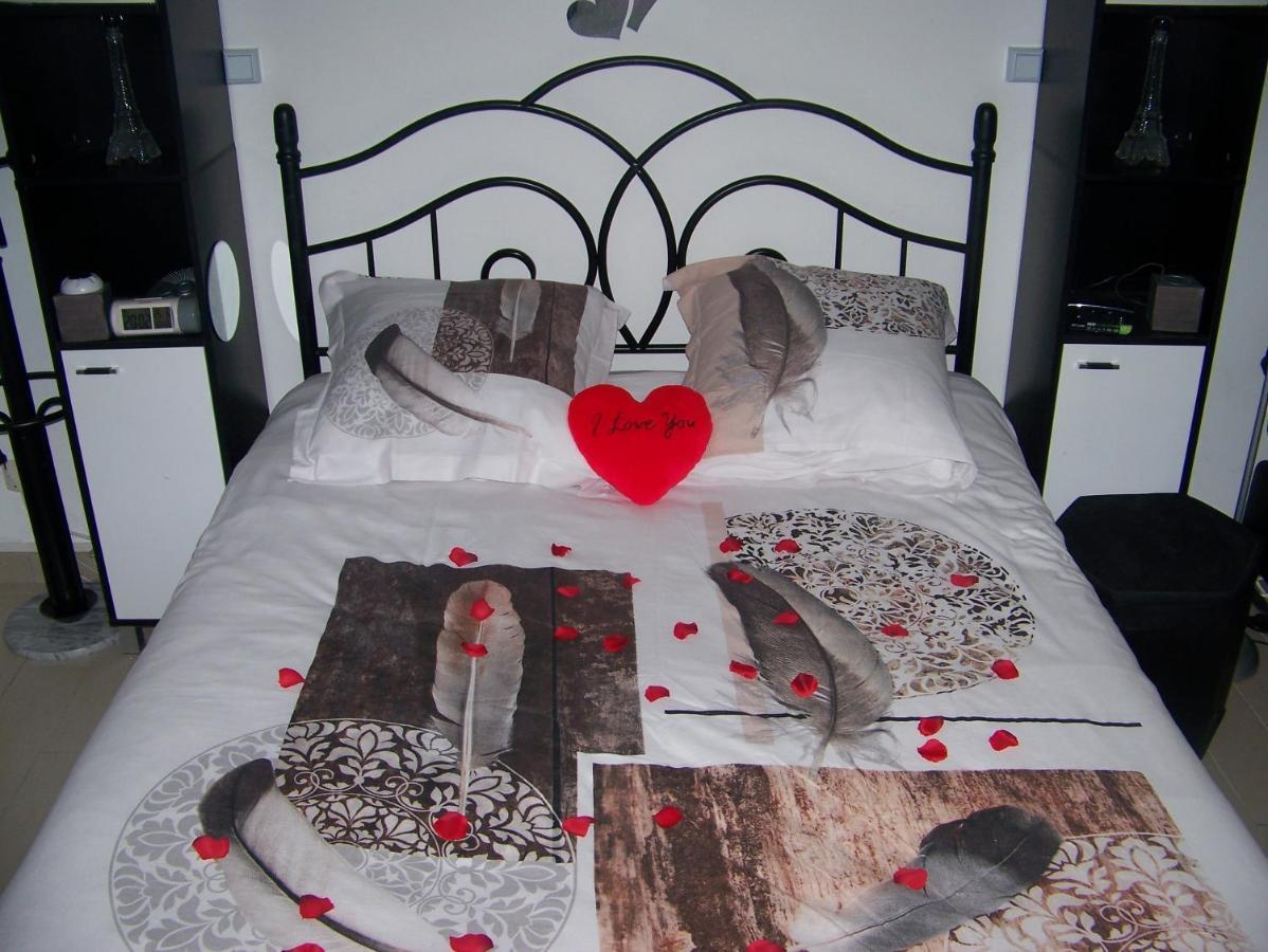 Charmant Studio Au Calme Tout Confort Dans Chateau Neo Gothique Proche Zenith Comet Orleans Parking Voiture Gratuit Wifi Haut Debit Rue Des Montees Экстерьер фото